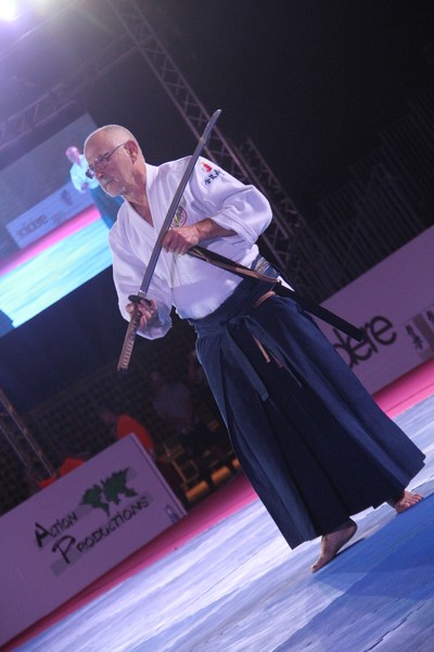 Martial Arts Festival